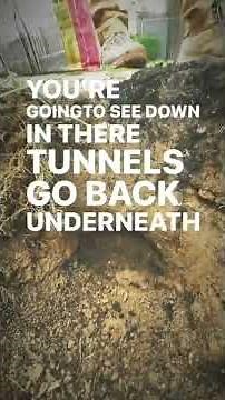 How to fill in rat tunnels