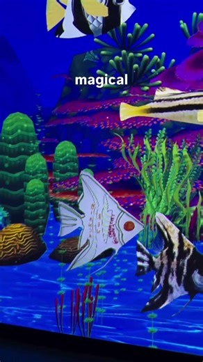 ✨ 😱Digipark! Sydney's ultimate fun experience! #shorts #sydney #australia