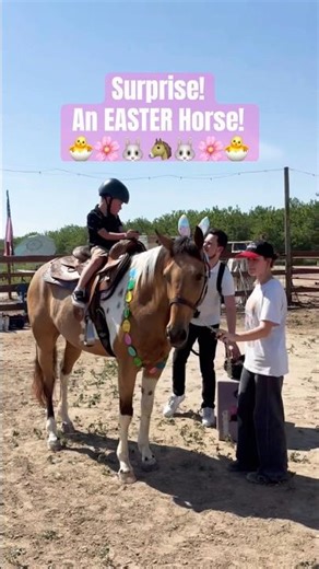 The Sweetest Easter Surprise… A Horse for Everyone 💛🐴