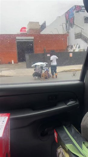 Love Unleashed Rescue on Instagram: "Today we traded a mom and three 4 week old puppies for a new tent and propane heater. 2 of her puppies were already traded for dr*gs. This is her first night off the streets and out of the rain, where she’ll finally get to learn to be a dog instead of Skid Row asset. This is why we advocate to remove dogs from the streets when necessary. You can support our cause through the link in the bio ❤️"