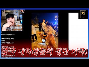 얼마나 많은 스트레스를 받았으면... (중국 지방은 생각보다 심각합니다. 2)