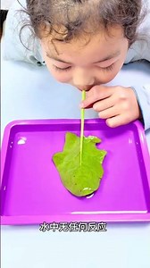 One Spinach Experiment: Unveil the Science