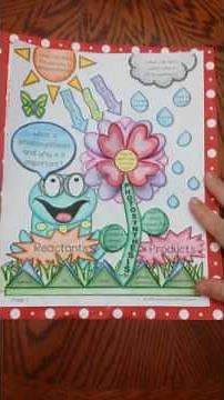 Photosynthesis Foldable