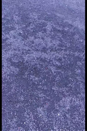 Teotihuacan 🌑🌕 . . . #agenciasdeviajes #experience #mexicomagico #Mexico #cultura #Tours #ConoceMexico #piramidesdeteotihuacan #mexico #CDMX #viajesyturismo #loves_mexico #pyramids #piramides #culturismo #visitmexico #teotihuacan | Teotihuacán Mágico