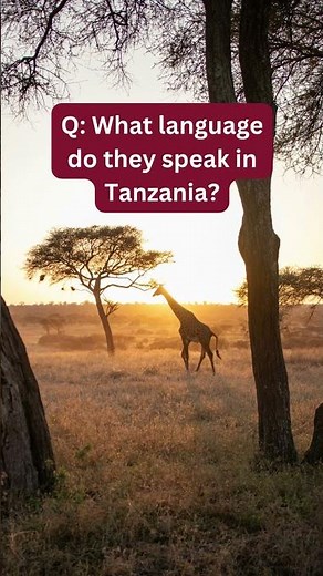 What language do they speak in Tanzania? 🇹🇿