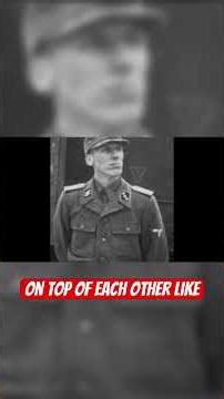 What American Soldiers Did to SS Guards When They Found Dachau