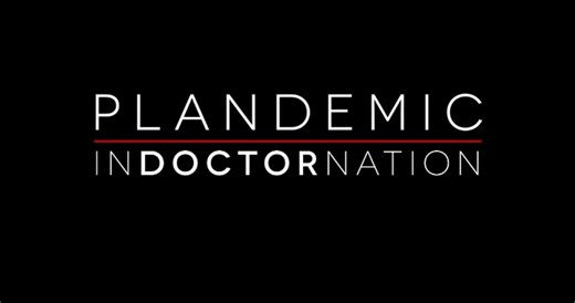 Plandemic 1 The Hidden Agenda Behind Covid -19