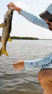 Salt Strong Fishing on Instagram: "Slam Shady strikes again!! Grab your FREE pack here now (while supplies last): www.slamshady.com #saltstrong #slamshady #snook #redfish"