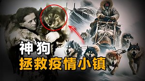 20人和150只狗，狂风暴雪中疾驰1085公里，创造史上不可能打破的记录