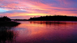 Unit A: Energy and Matter Exchange in the Biosphere