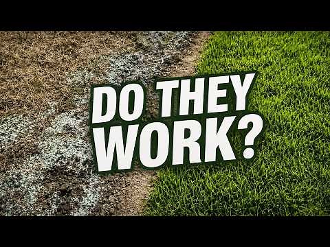 Do Grass Seed Mats Work?
