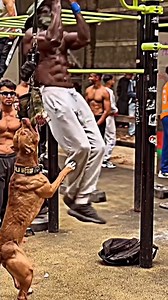 This dog is scary 😱🐾 🎥instagram.com/sadio__223/ | Fight Source