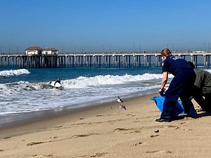 Coast Guard Had Earlier Notice About California Oil Spill