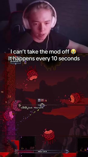 Terraria Livestream Mod Malfunction