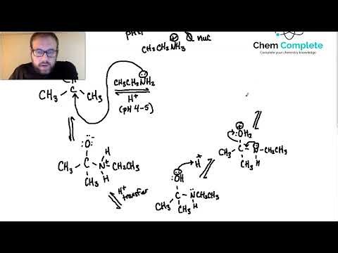 Aldehydes and Ketones - Imine Formation