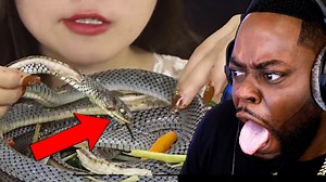 4.2M views · 76K reactions | SHE REALLY ATE THAT SNAKE! EXOTIC FOODS MUKBANG REACTION | BEAST MODE | The Beast Family | Facebook