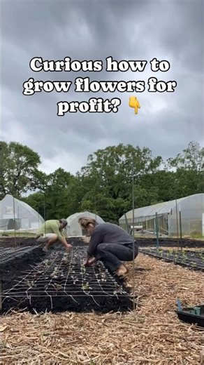 Want To Make Money With Cut Flowers? Find Out How! 👇🏼