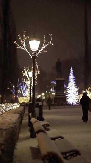 7.5K views · 453 reactions | Snowfall in Helsinki of Finland #snow #snowy #snowfall #helsinki #finland #europe I love Finland Phần Lan | I love Finland | Facebook