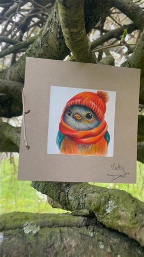 Robin bird drawing in a beautiful location