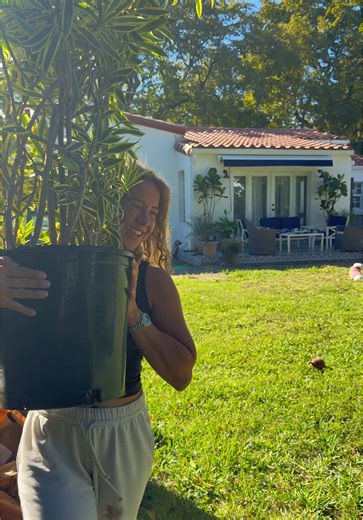 Add landscaping to my resume🌱