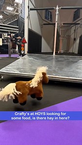 5.2K views · 501 reactions | Crafty Pony explores HOYS looking for food #wearehoys #craftyponies #craftyponies_uk | Crafty Ponies | Facebook