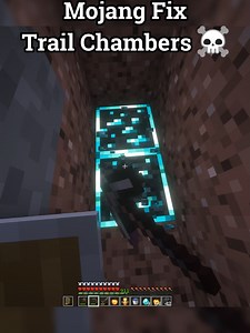 Trial Party Minecraft Meme Compilation