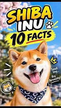 SHIBA INU: The Dog That Thinks It's Your Boss 🐕