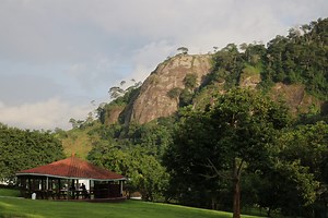 Congo Basin Institute — Institute of the Environment and Sustainability at UCLA