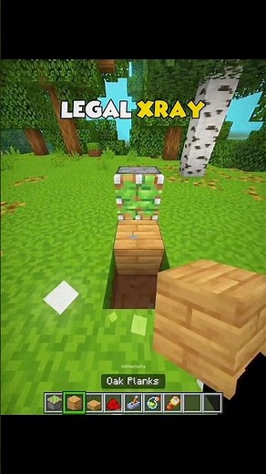 Minecraft Bedrock X-Ray Moment