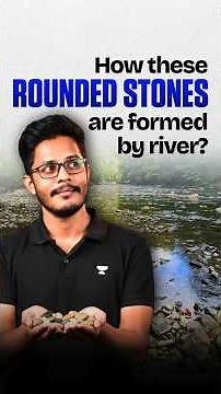 Why Nature Said To Be The Biggest Designer & Engineer