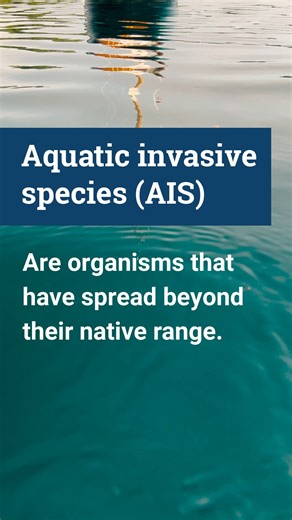 National Invasive Species Awareness Week starts today! Aquatic invasive species (AIS) threaten irreversible harm to our environment and economy, but you can help! Learn more about preventing the spread of AIS at wdfw.wa.gov/ais-prevention. #Invasivespecies #NISAW2026 | Washington Department of Fish & Wildlife
