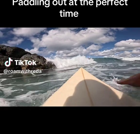 Perfect Timing for Surfing in Oahu