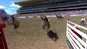 5.6K views · 206 reactions | Check out yesterday's rodeo highlights and round winners. The action is already heating up! Rodeo tickets include entry to Stampede Park, get yours here: https://www.calgarystampede.com/stampede/rodeo | Calgary Stampede | Facebook