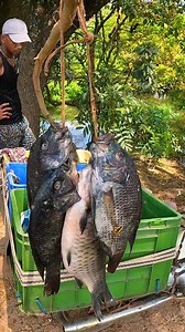 Wow!! This Traditional Street Fish Market Has A Secret #fish #fishingislife #fishing | The Fisherman