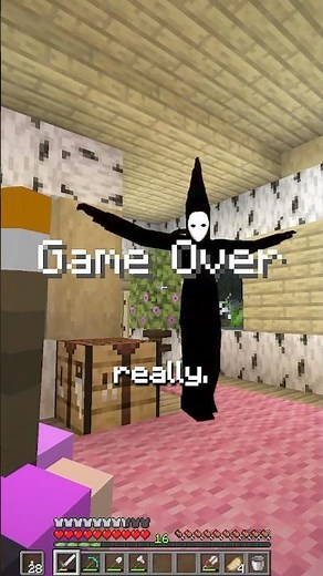 Playmate Found Me in Minecraft!