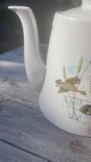 Vintage Alfred Meakin Glo-white Teapot – Flying Ducks / Fenland Pattern, 1950s English Ironstone - Etsy UK