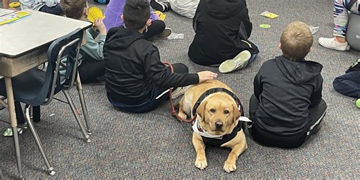 Walcott dog training agency trains puppies into therapy dogs
