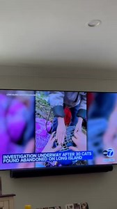 ABC7 Channel 7 news story: | John Debacker