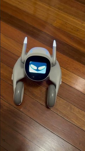 Loona Petbot voice command: “Hello Loona, Helmet.”