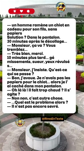 🐶✈️ Chiot #france #shorts #memes #youtube #fyp #drôle #humor #blague #comédie #rire #paris