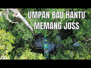 Memasuki Hutan Purba yg Dihuni Lembat ukuran Monstero #541
