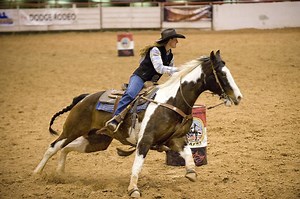 Simple Barrel Horse Training Exercises - Horses & Foals