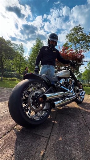 The Harley Breakout Brings Out Your Wild Side