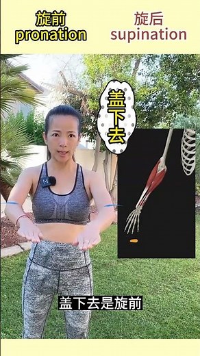 不容易理解的关节运动——内旋/外旋/旋前/旋后/足内翻/足外翻/底屈/背屈 #mblex #易北 #关节运动