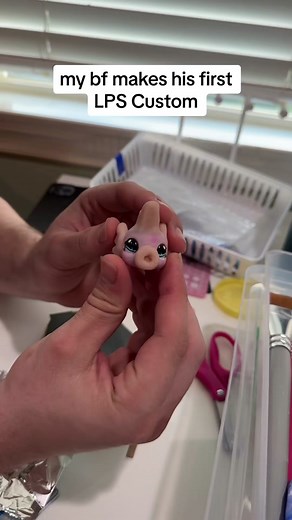 LPS Customizing: Beginner's Journey with Cheep Cheep Customization