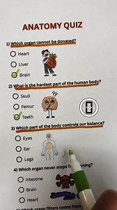 Anatomy Quiz 🧠 🫀 🫁 🧠 #Quiz #DailyQuiz #QuizTime #BrainChallenge #GeneralKnowledge #QuizOfTheDay #TriviaTime #MindTest #ThinkFast #GuessTheAnswer #TestYourBrain #QuickQuiz #FunQuiz #IQChallenge #SmartQuiz #LearnWithFun #ChallengeYourMind #QuizChallenge #ReelsQuiz #ViralReels #ViralVideo #TrendingNow #ExplorePage #ForYou #FYP #MustWatch #EntertainmentReels #ReelFun #QuestionOfTheDay #KnowledgeIsPower | Global Quiz