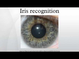 Iris recognition