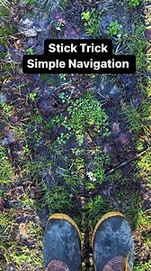 Stick Trick, Simple Cardinal direction using the time offset method #woodsman #outdoor #forestlife #skills #navigation #survival #davecanterbury | David Canterbury