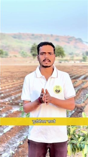 आत्ताच Subscribe करा | तुमचा विश्वास व्यर्थ जाणार नाही ❤️ #vermicompost #organicagriculture