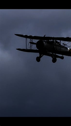 210K views · 4.9K reactions | Stringbag! The Fairey Swordfish accounted for more Axis shipping than any other British type, including the legendary Beaufighter TF.X #ww2 #ww2history #fairey #swordfish #warbirds | Daniel J Wheatcroft | Facebook